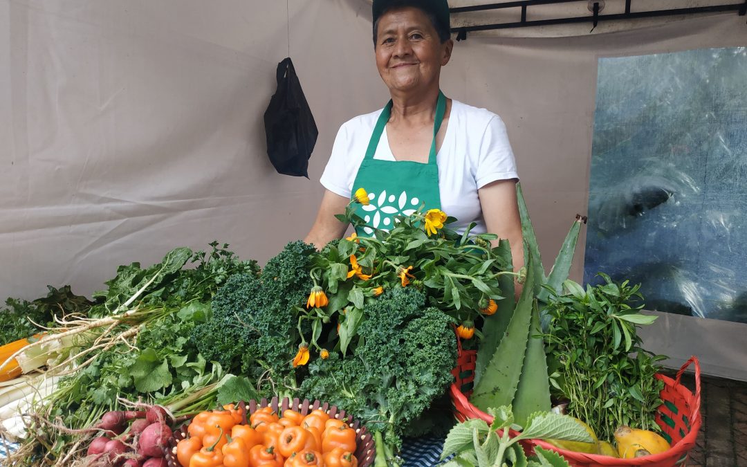 ¡Los mercados campesinos del Jardín Botánico cumplen su primer año de vida!