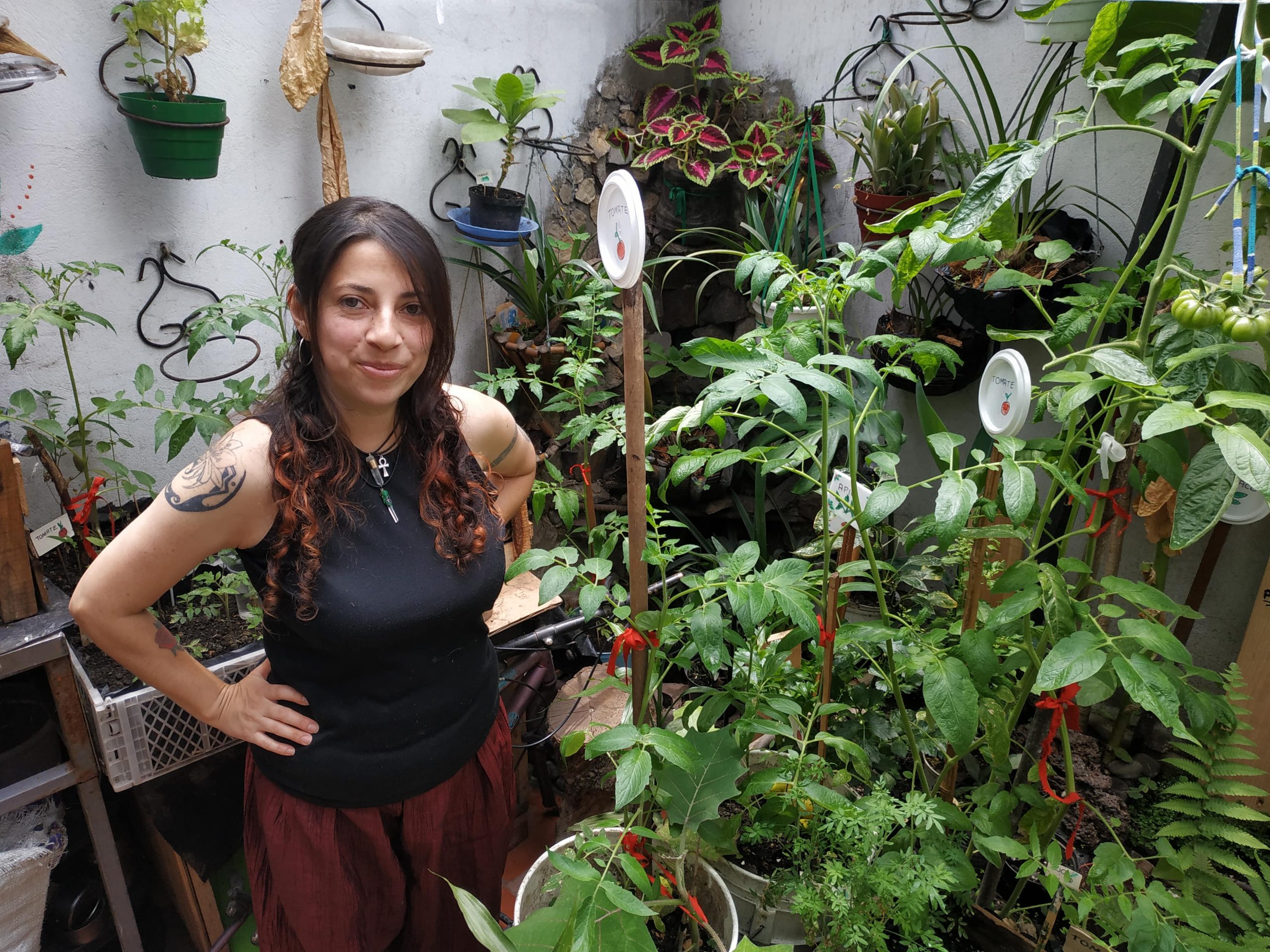 La pastusa que lleva tatuado su amor por las plantas | Bogotá mi huerta: el  hogar de la agricultura urbana