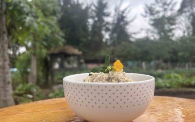 Cultiva, cocina y disfruta: Aprende a hacer un risotto de avena y champiñones desde la huerta Micaela