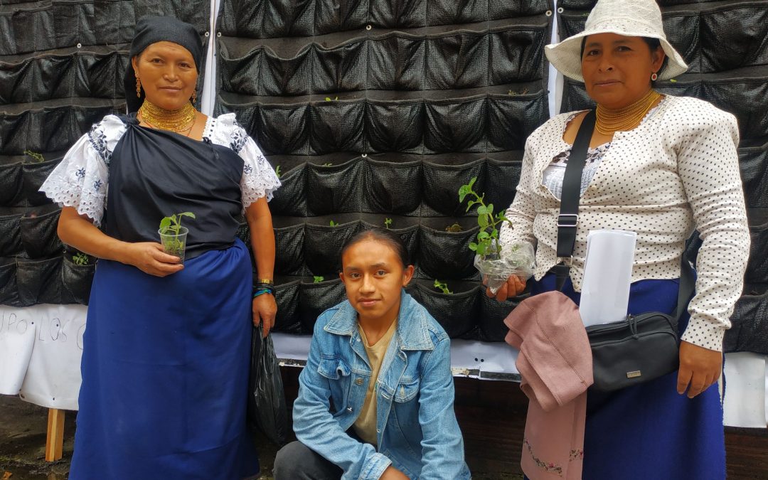 Cosechando historias verdes: El éxito de la huerta vertical Kichwa en Engativá con #BogotáEsMiHuerta