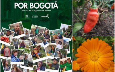 Crónicas de la agricultura urbana: la nueva publicación del Jardín Botánico de Bogotá