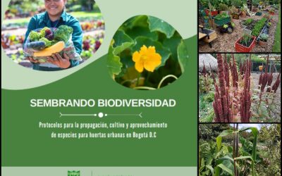 “Sembrando biodiversidad”: una guía para lograr huertas más diversas, nutritivas y sostenibles