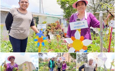 Una huerta comunitaria con las cuatro fases de la Luna