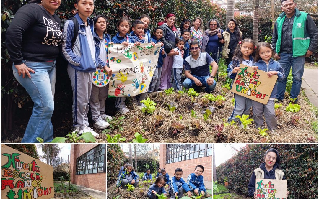 Manos Unidas: la huerta estudiantil del colegio Instituto Técnico Internacional