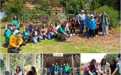 Bogotá y São Paulo intercambian experiencias en agricultura urbana y seguridad alimentaria