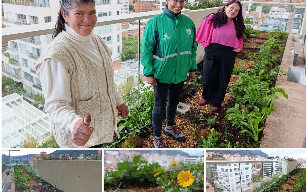 Una huerta en las alturas del primer parque vertical de Bogotá