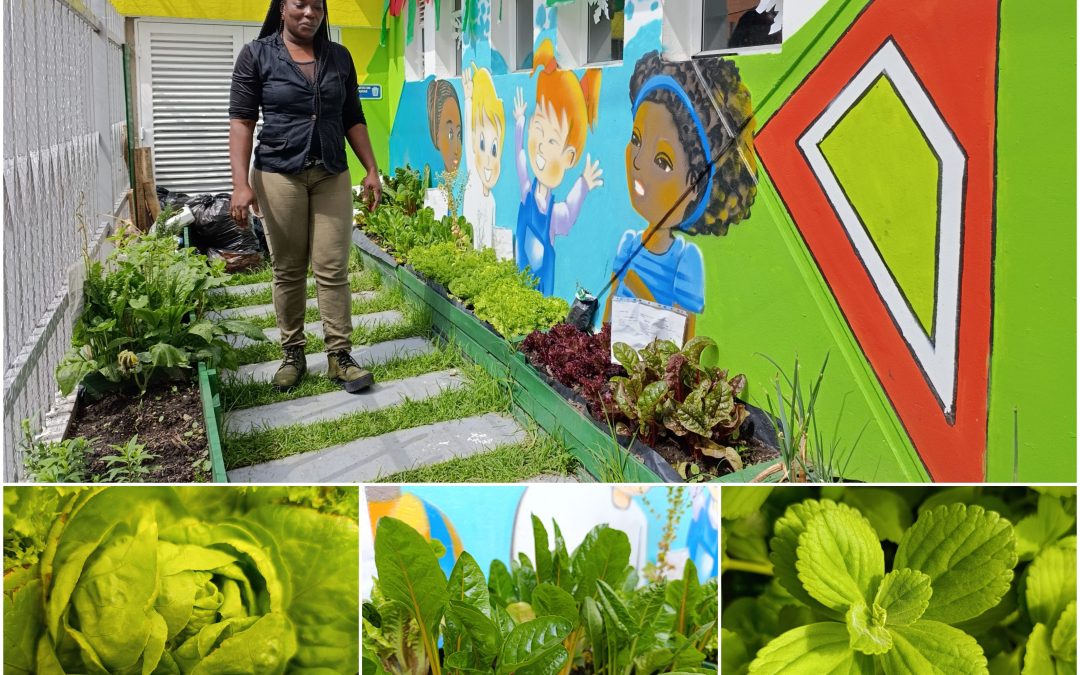 La huerta ancestral del tercer jardín infantil afro de Bogotá