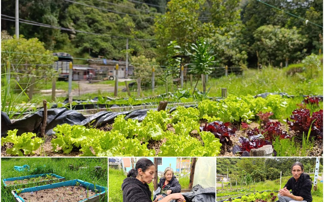 Una huerta comunitaria en las faldas del Parque Entrenubes