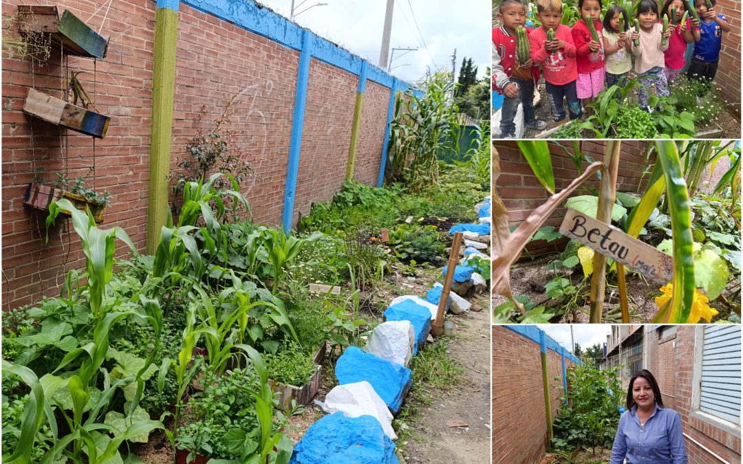 Nama neuu: la primera huerta en Bogotá para niños y jóvenes embera