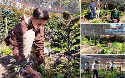 El proyecto agroecológico del colegio El Carmen Teresiano